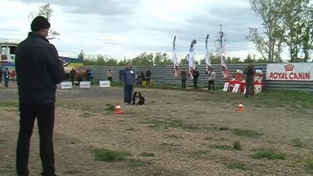 Ромка спортсмен