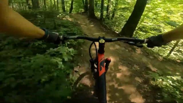 Битцевский лес: Романтичка