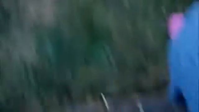 Папа хотел запрыгнуть в бассейн