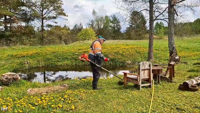 Latvija Latgale Augšdaugava День травы наступил Косим убираем тра?