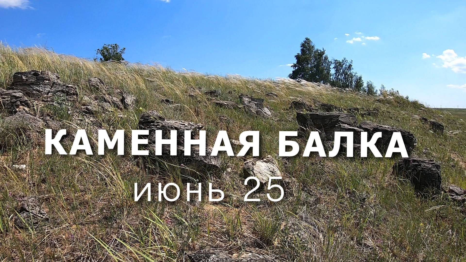 Каменная балка . Июнь 25
