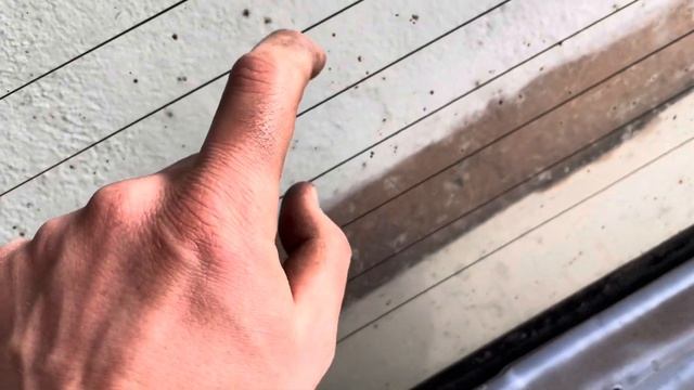 Задняя ляда (крышка багажника) со стеклом Honda Civic 3 поко?