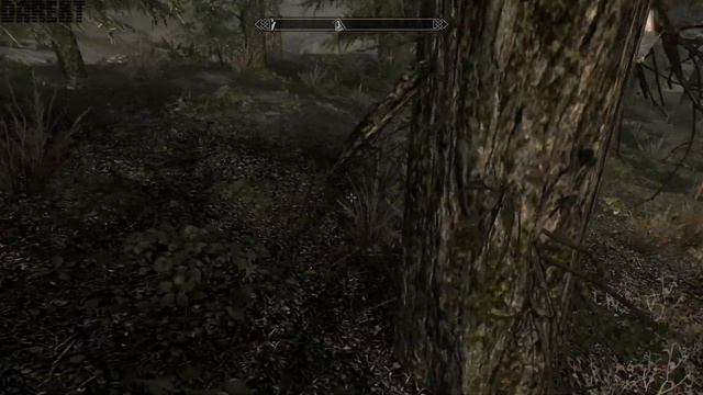 ▶The Elder Scrolls V: Skyrim. Незабываемая ночка. #2