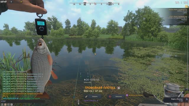 Fisher Online. Беларусь Плотва Трофейное место
