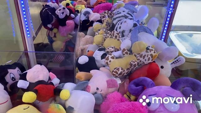 НОВАЯ ЗАГРУЗКА И НОВИНКА В АППАРАТЕ! ТИГРЁНОК-ДЕВОЧКА