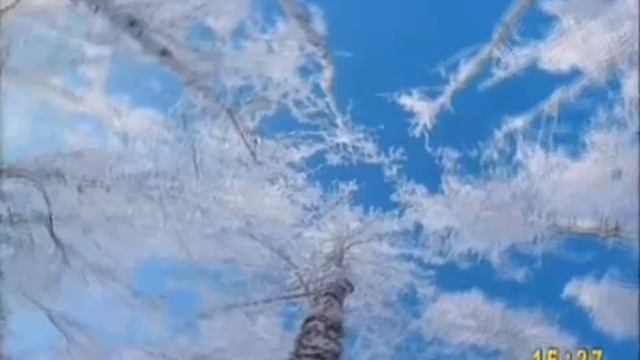 Реклама в рамках программы 