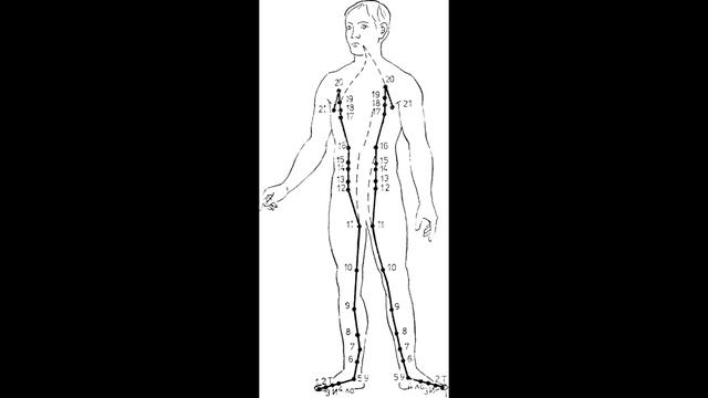 Цигун Элементы и Приемы Алхимии.11.