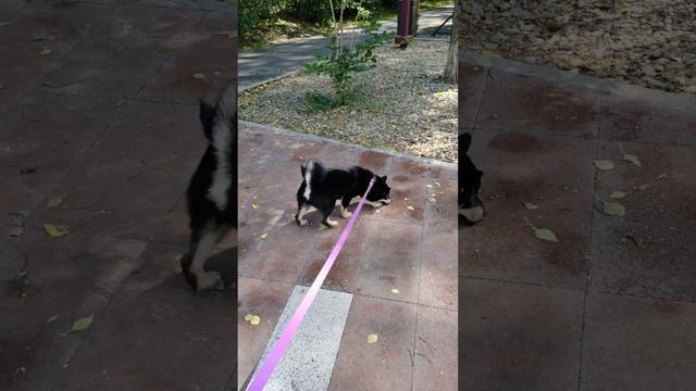 189e3b3afe97bc74356f9a8baf2b2372