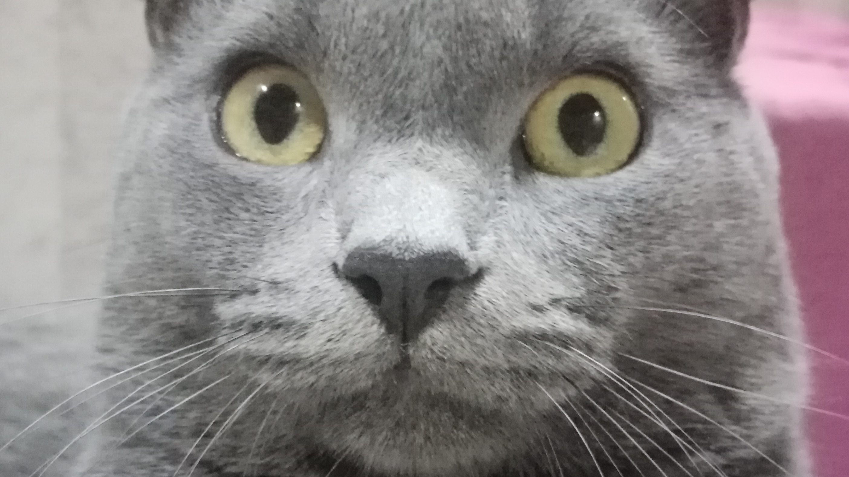 0dde0c18a120efb8d198fa2d5ccfec42