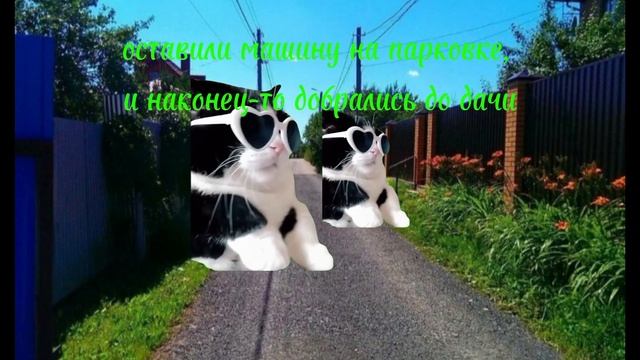 Я, и постройка беседки #рекомендации #анимация #котики
