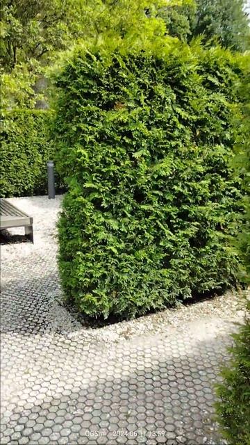 Зелëный лабиринт на ВДНХ