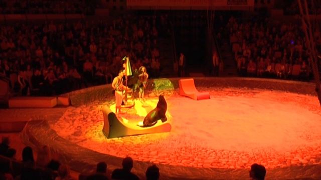 Победители седьмого международного фестиваля циркового искусства в Ижевске