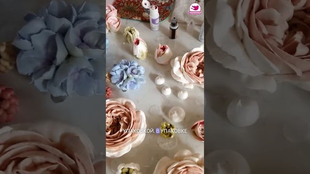 D6ef1eaea159ea58f865f9c7fbe82896