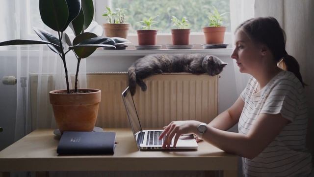 Микрозаймы онлайн без отказа | Как получить микрозайм