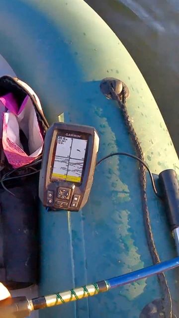 #shorts, #рыбалка, ПОКЛЁВКА СОМА НА ЭХОЛОТЕ.