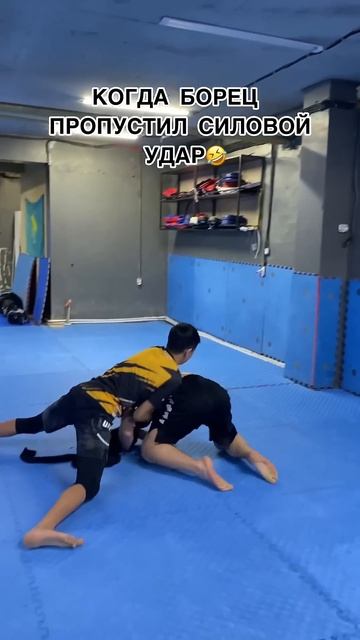 Борец или ударник ? #mma#striking#wrestling