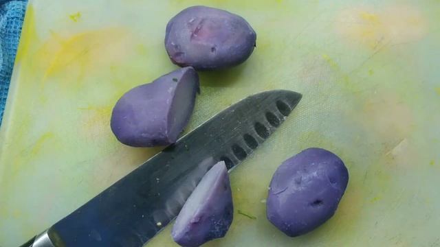 64c9e0dedfd59128a4ed86734a6d7ee1