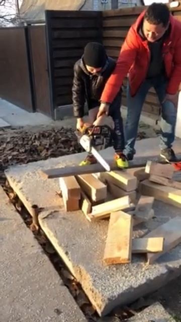 Пила-бензопила STIHL-(штиль) сын учится пилить.