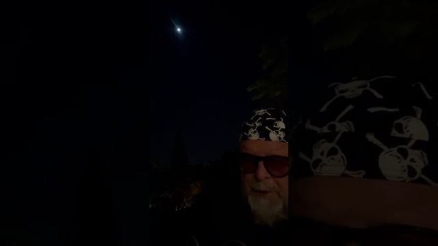 БГ - Подношение Времени. Песня 99. Ветка