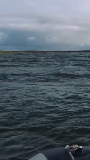 🤔 Ямал. Осенняя рыбалка #fishing #янао #крайнийсевер #реко