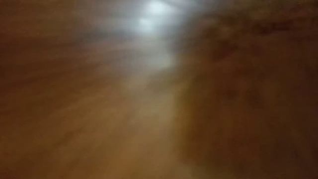 мой РЕАЛЬНЫЙ костюм Спрингбонни