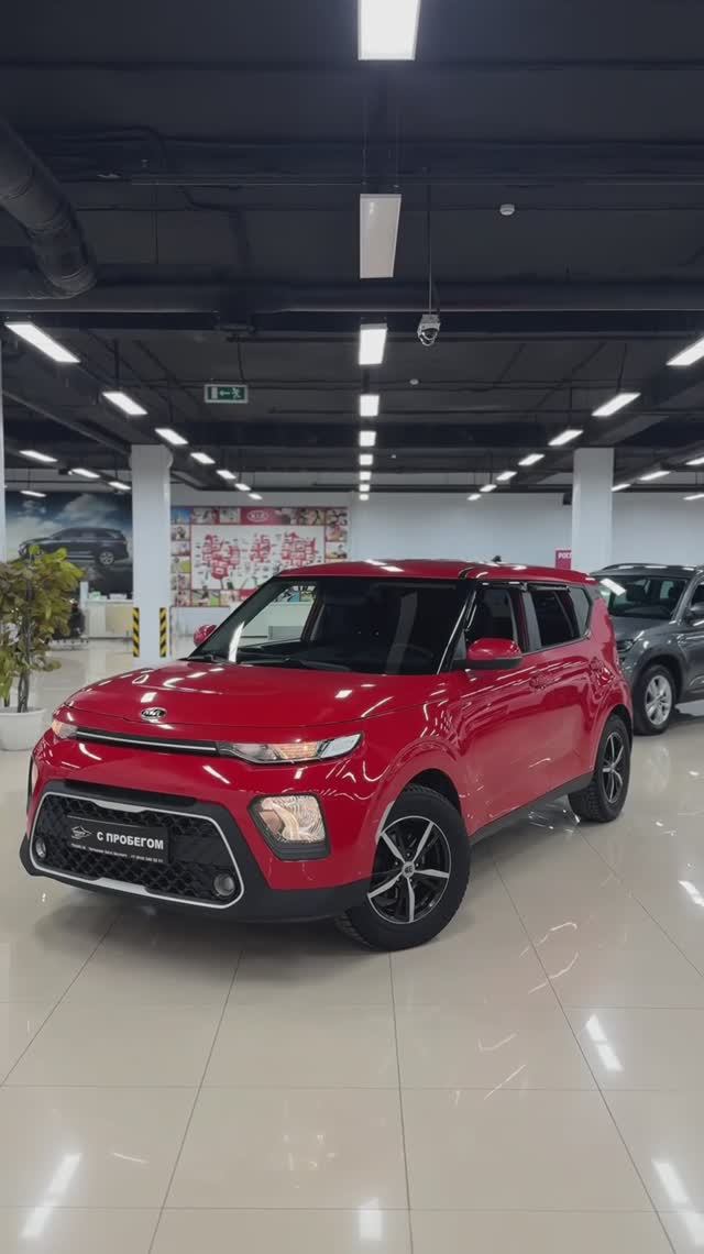 Chernomor_auto_crimea