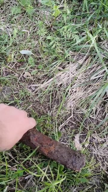 Когда хочется копать, коп металлолома!