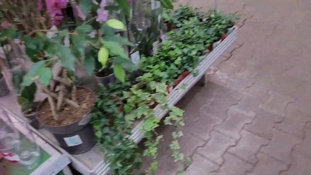 Ebf81575a44f28671a01223e43e2ed7c