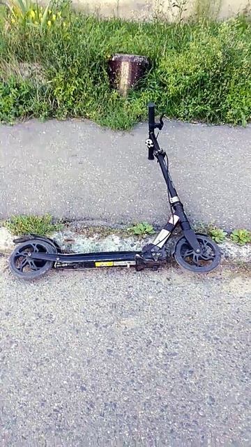 14 августа 2024 г.