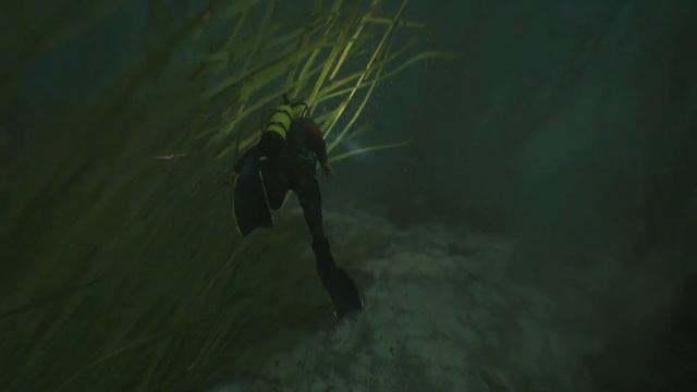 Fc1aaa16c8202d000f68432e485a7651