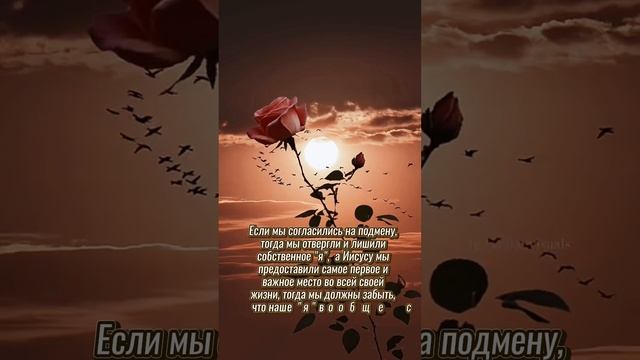 Доброе утро! Утром сей семя твоё! Христианское пожелан