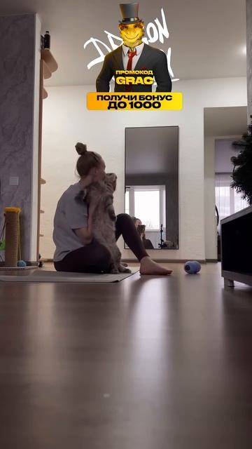 Кот не даёт заниматься фитнесом, кот-борец #кот #кошка #