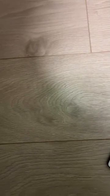 Отзыв №325 ⭐⭐⭐⭐⭐   Уличный прожектор муляж камеры на