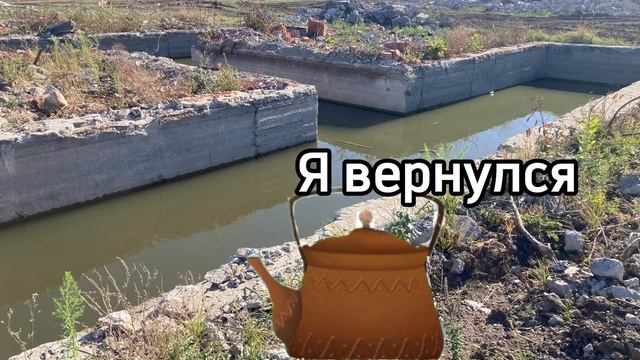 3 сезон 3 серия Чайник Убивца «Необычный экземпляр»