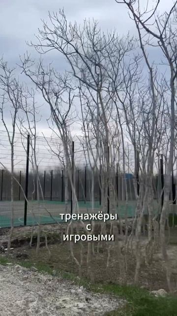 Версия парка Галицкого в Геленджике #ГеленджикскийАм?