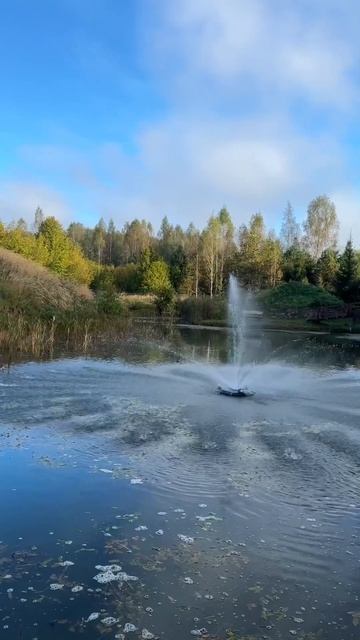 Ebdbb97df0126b7ea52b2fafba00d8f8