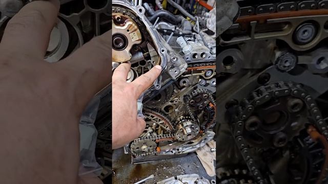 Успешные проекты