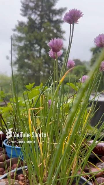 9dcec02a2a431059ffebe08d331ba82f