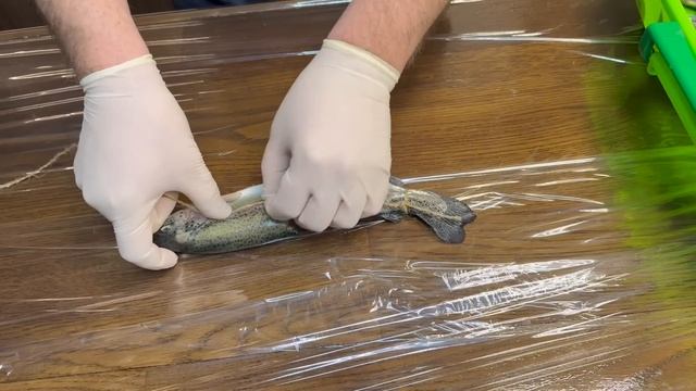 РЫБА В ДЫМУ! 7 КГ РЫБЫ В ОДНОЙ КОПТИЛЬНЕ, ЭТОТ РЕЦЕПТ ПО?