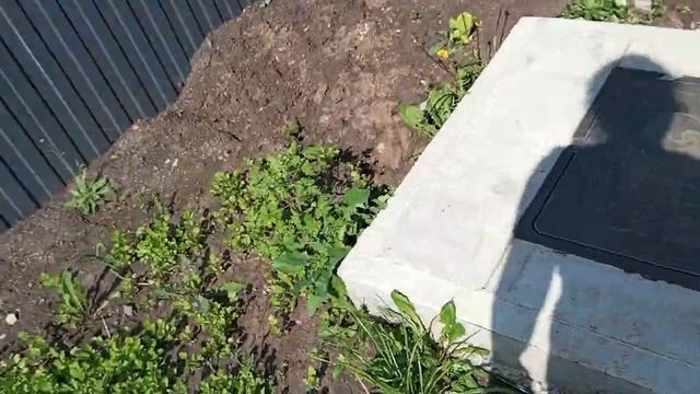 02f8c1c3e718aa6bd5f901cc95efdc43