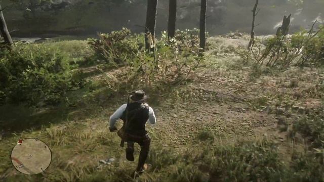 #Red Dead Redemption 2 часть 19