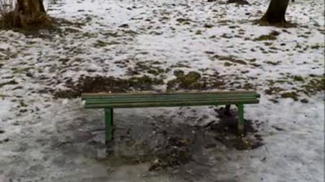 Андрушевка. Парк Терещенка. Зима