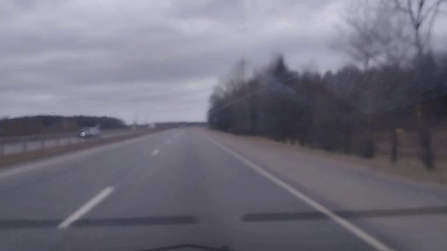 Под Минском на Гродненской трассе.Саженцы на 30 м килом