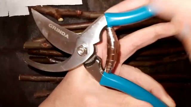 Лучший секатор садовый (БЮДЖЕТНИК) GRINDA | Small Garden's