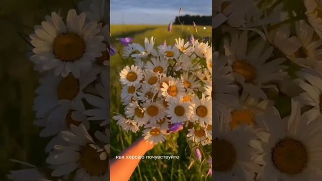 Задание 1 программы 