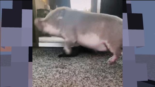 Самая СЛОЖНАЯ карта в МИРЕ Minecraft