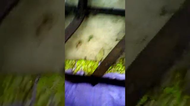 Незабываемый коп металла