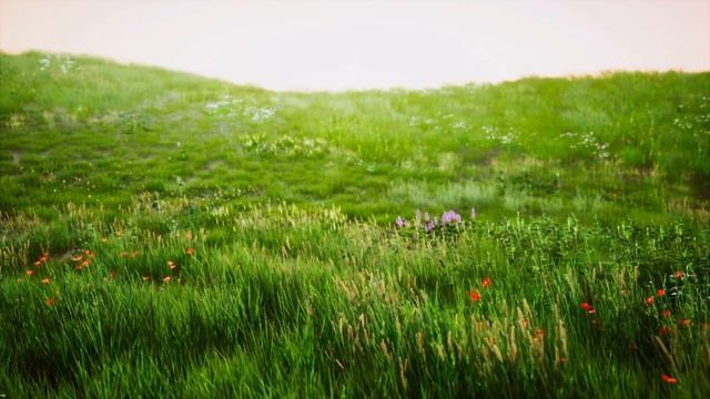 Газон, который не нужно косить. Реально ли?