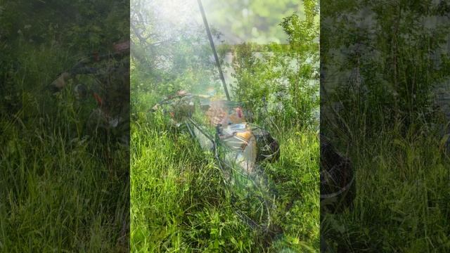 3158617bc9fab50a1e05cbb86270ef22