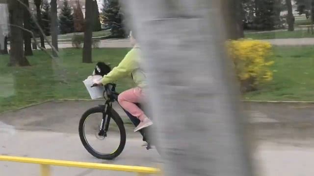 9b3b71d3a3858105d6993a8db699d9d0